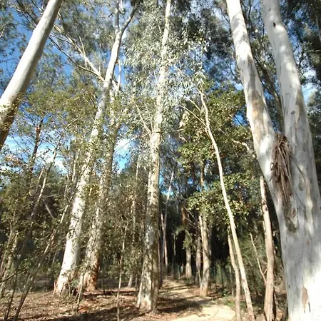 99f Pizzo Club Pool&beach Appartement Fondaco Vecchio